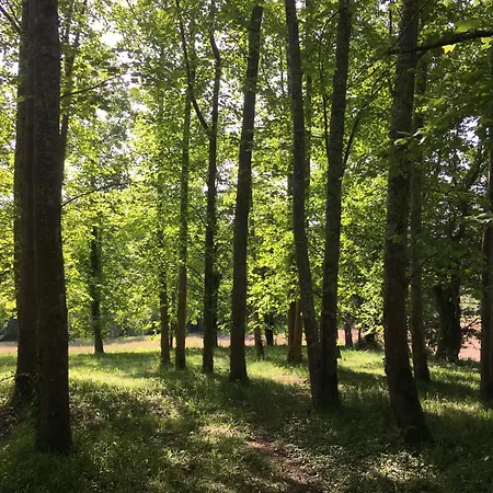 Domaine Lavie - 5 Individual Homes Perfectly Located Between Biarritz&the Pyrénées Mountains Salies-de-Béarn